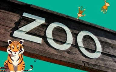 Zoo letter